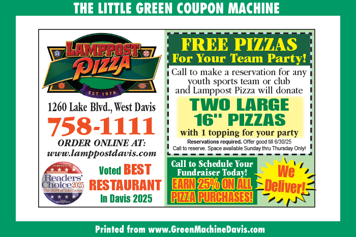 Lamppost Pizza Coupon