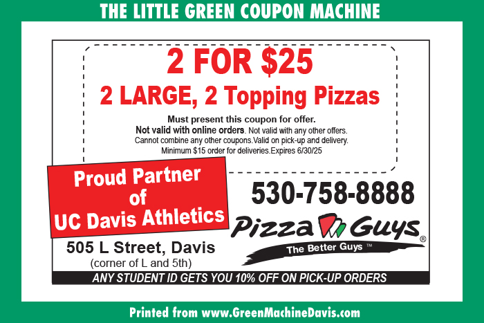 Pizza Guys Coupon